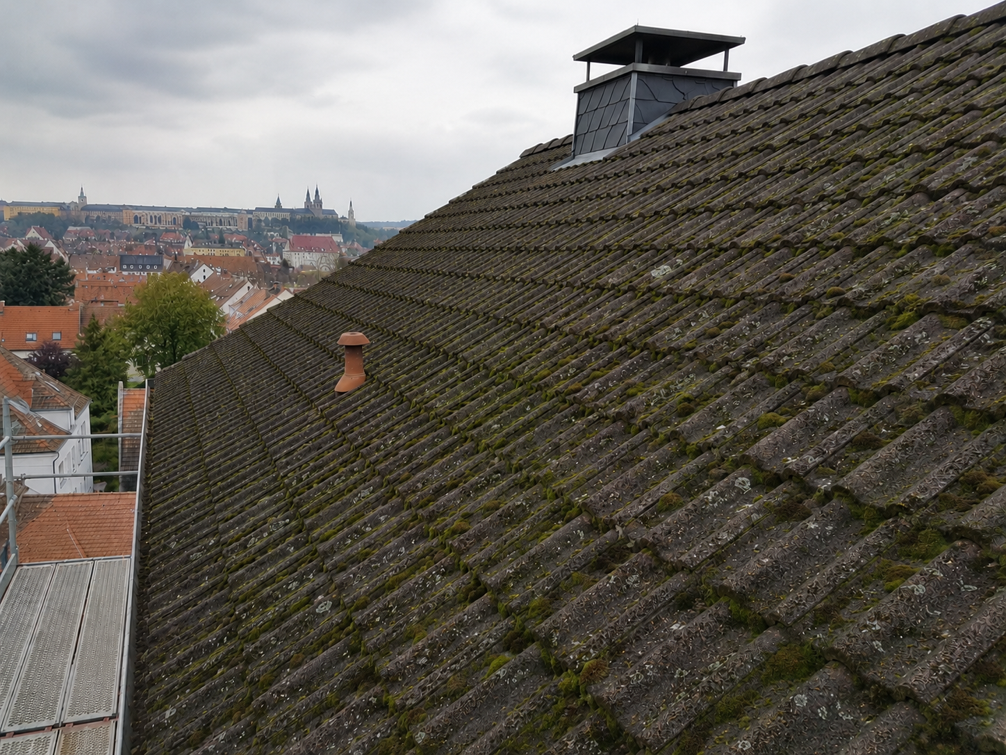 Mittlerer Moosbefall – Stufe 2 Dachreinigung und Moosentfernung Würzburg
