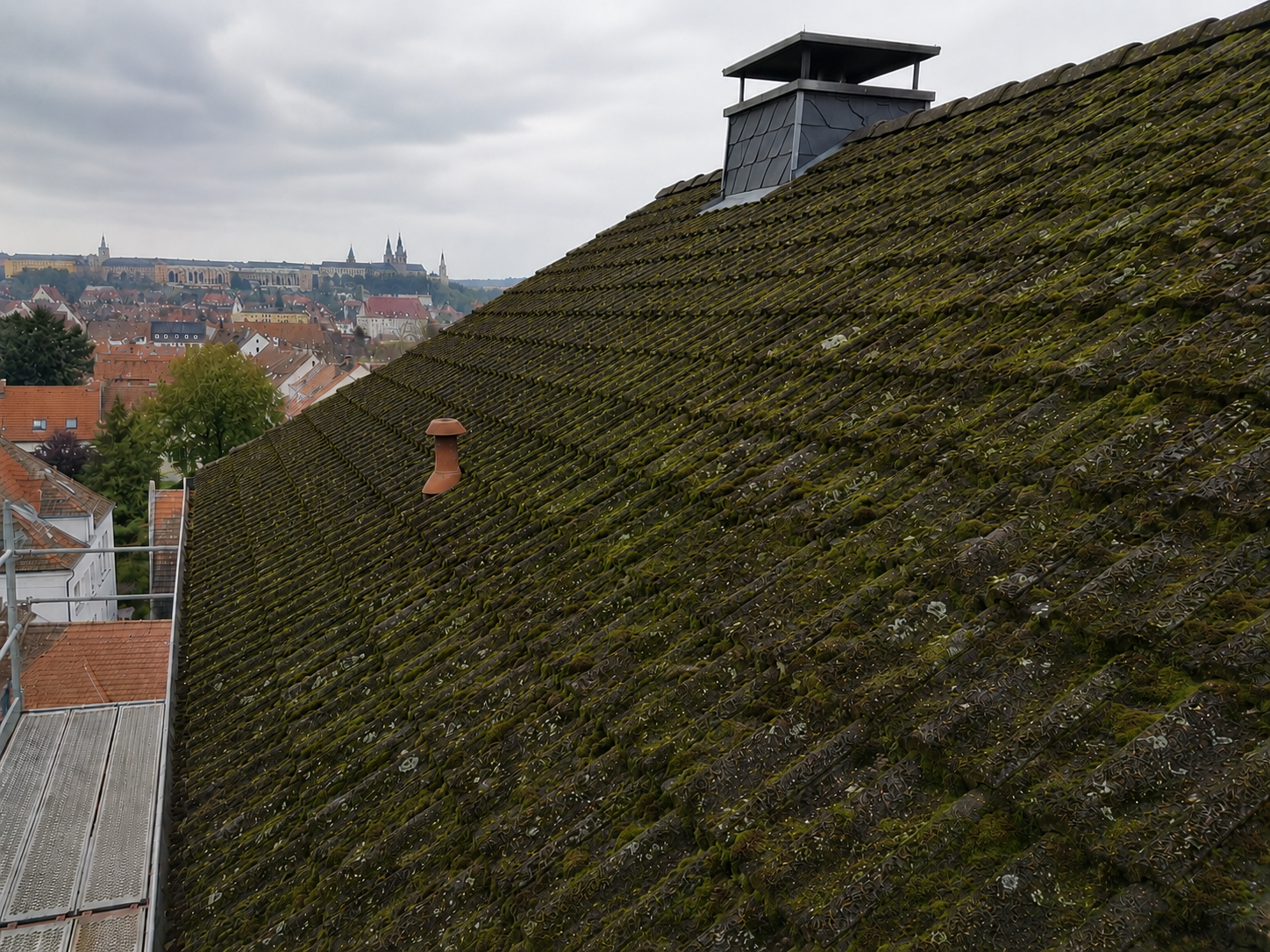 Starker Moosbefall Würzburg – Stufe 3 – dringende Dachreinigung erforderlich