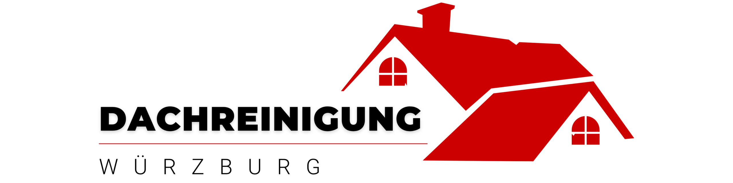 Dachreinigung Würzburg