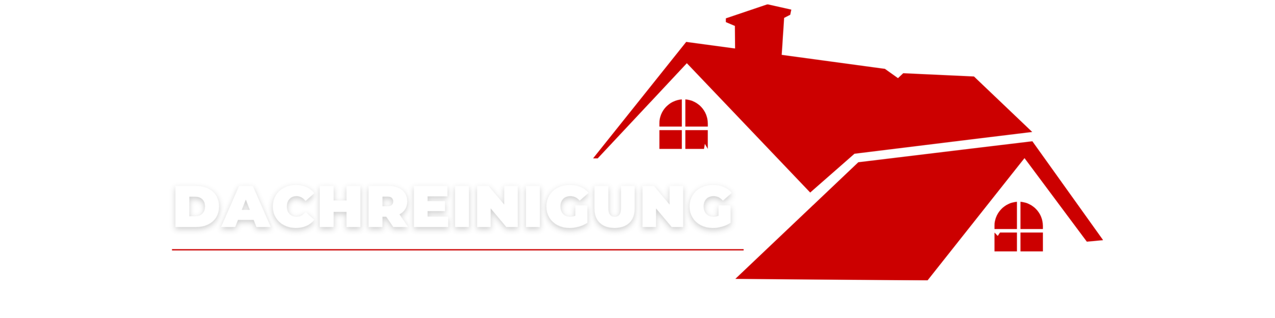 Dachreinigung Würzburg